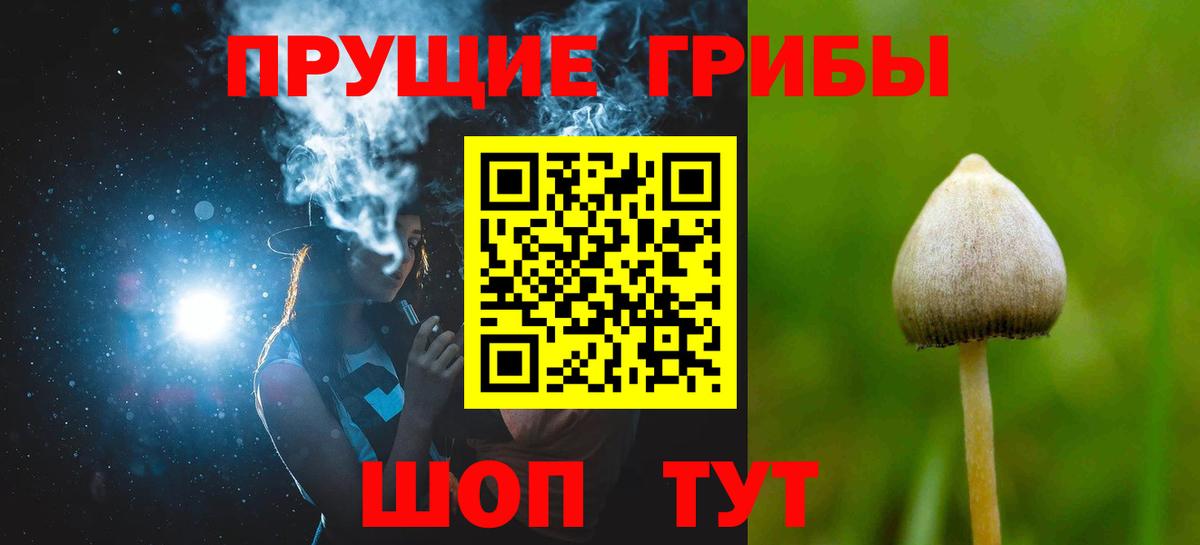 Будённовск  Галлюциногенные грибы мухоморы  Галлюциногенные грибы мицелий  Вход с VPN 
